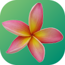 Plumeria Smart Creator 4 Video