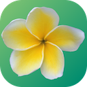 PlumeriaGIF 3D GIF Maker